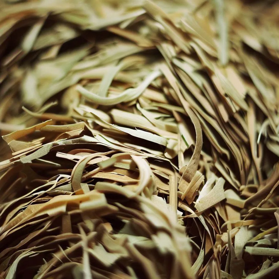 Zdrowie Kr lika Lekarz Weterynarii Zdrowie Kr lika Lekarz Weterynarii